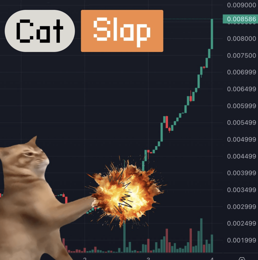 Crypto Prices Rise Again And Experts Watch Catslap, CAT and Popcat